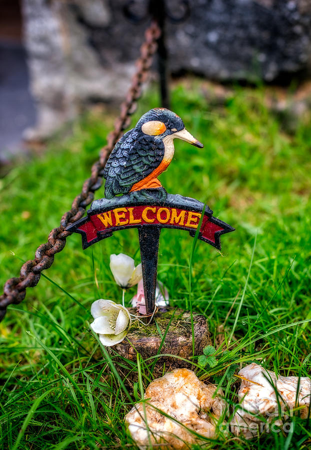 Kingfisher Photograph - Welcome Sign by Adrian Evans