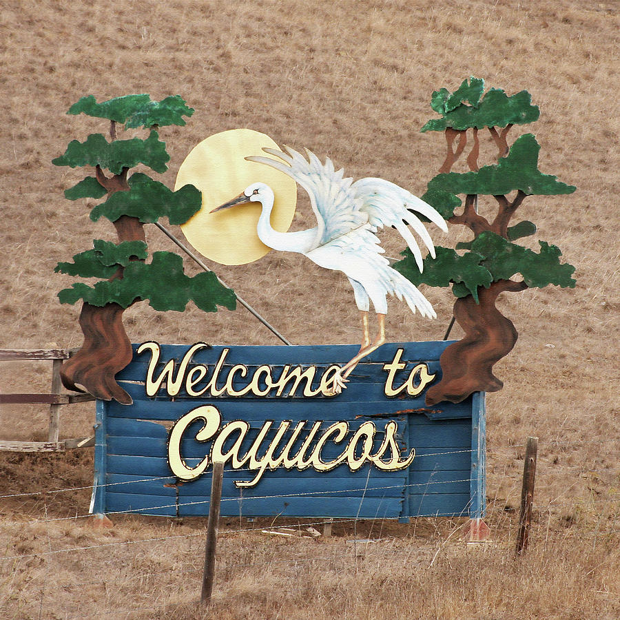 Egret Photograph - Welcome to Cayucos by Art Block Collections
