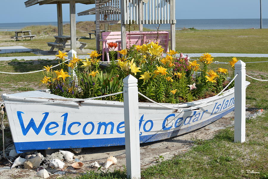 Welcome to Cedar Island Photograph by Dan Williams