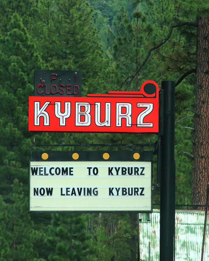 Tree Photograph - Welcome to Kyburz by Diane Zucker