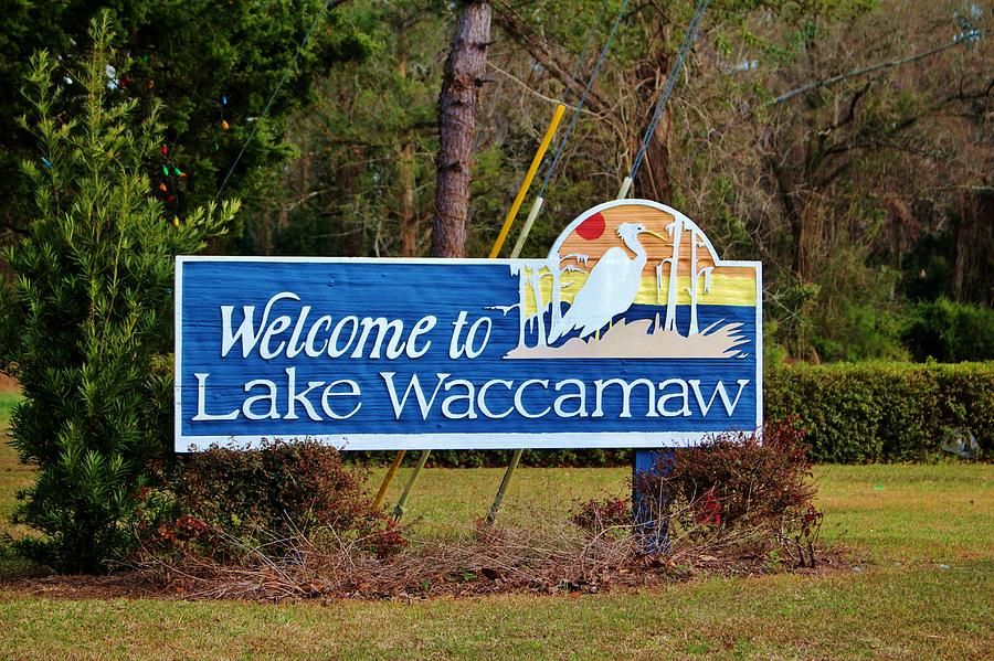Welcome To Lake Waccamaw Photograph by Cynthia Guinn