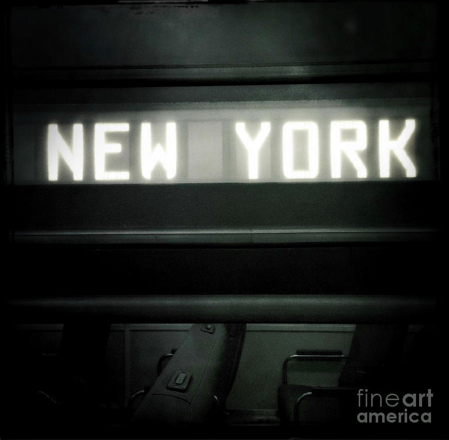 Welcome to New York Photograph by Miriam Danar