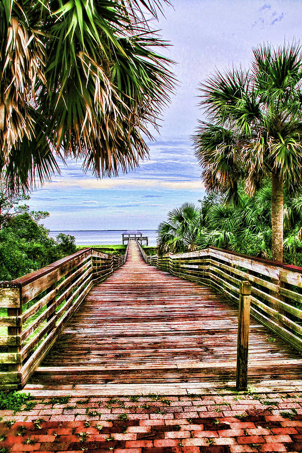 Welcome to Paradise Photograph by Mary Buck