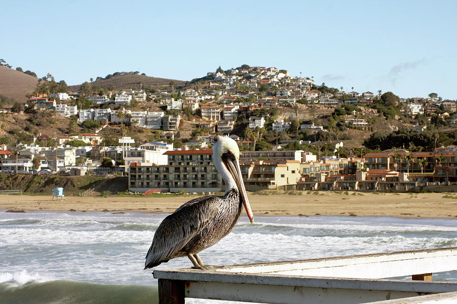 Welcome to Pismo Beach Photograph by Art Block Collections