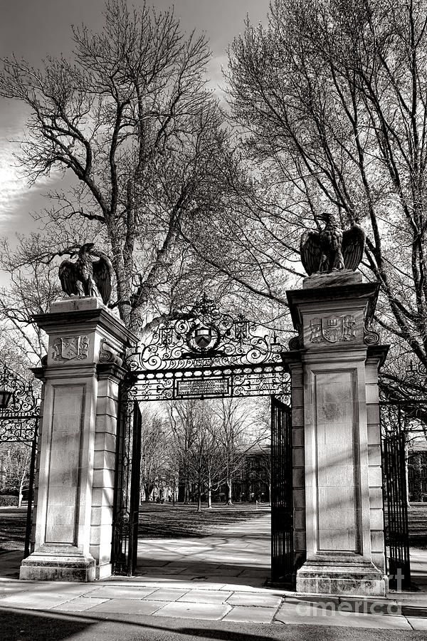 Welcome to Princeton University Photograph by Olivier Le Queinec