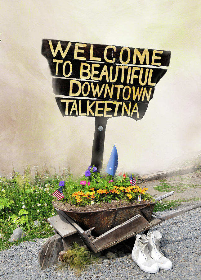 Flower Photograph - Welcome to Talkeetna Alaska by Phyllis Taylor