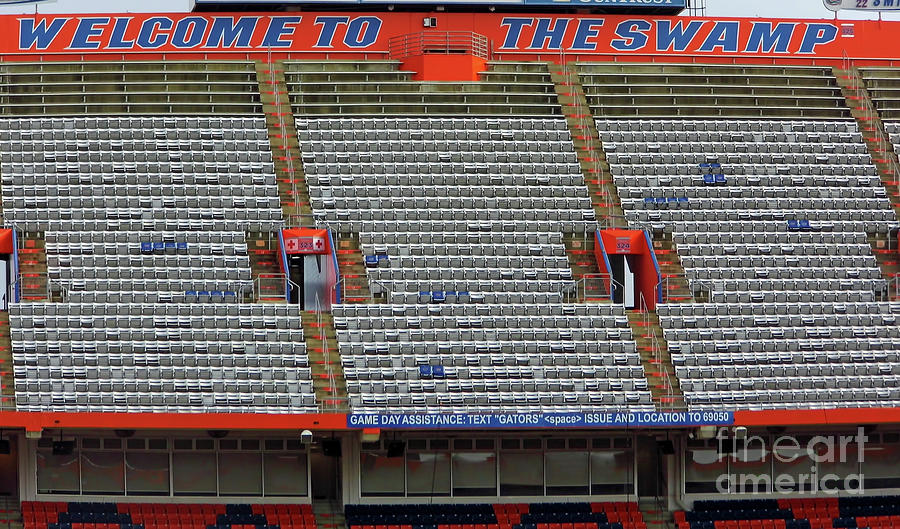 Welcome To The Swamp Photograph by D Hackett