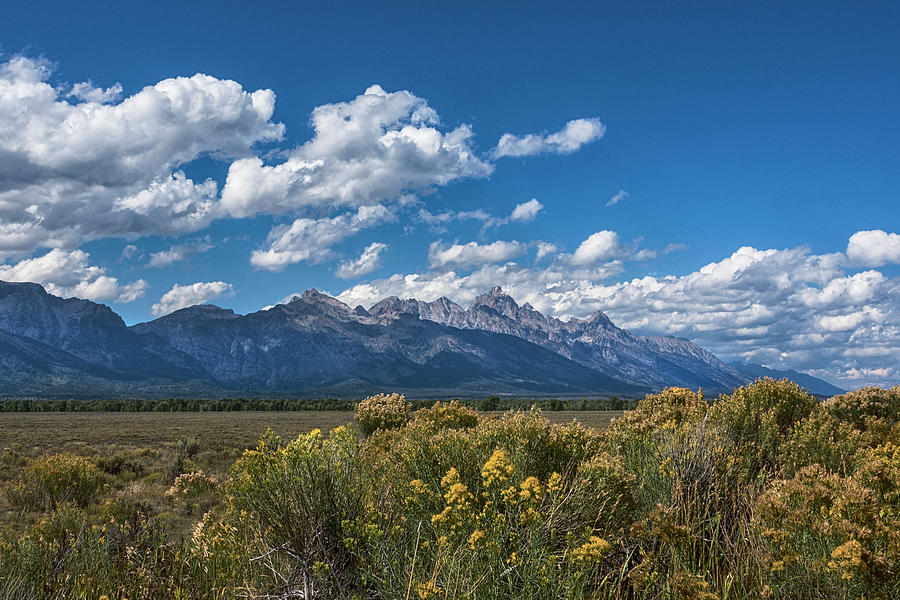 Welcome To The Tetons - Grand Teton National Park Wyoming Photograph by Brian Harig