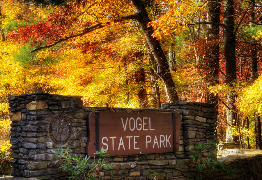 Welcome To Vogel State Park Photograph by Greg and Chrystal Mimbs