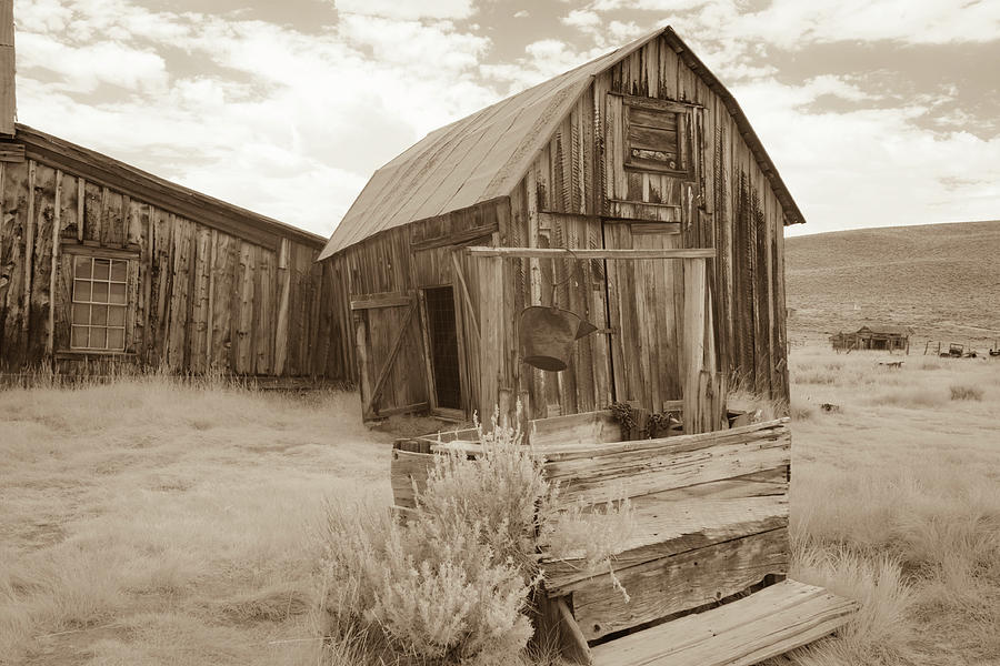 Well outside old barn in Bodie, California in sepia Photograph by Karen Foley