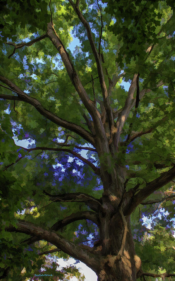 Well Seasoned Tree Photograph by Roberta Byram