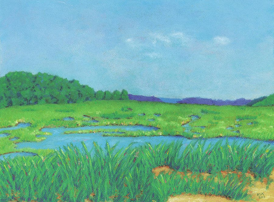 Wellfleet Wetlands Pastel by Anne Katzeff