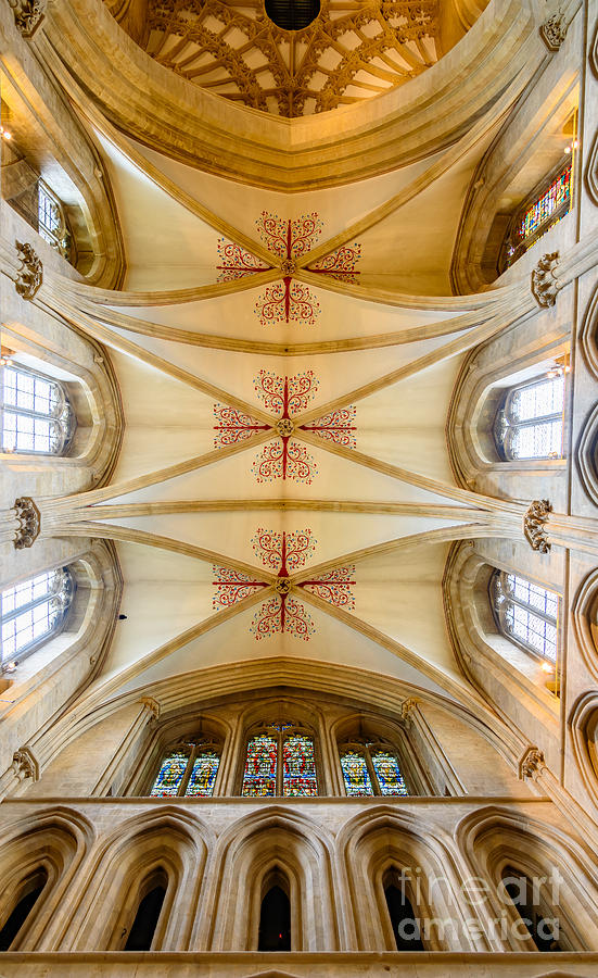 Wells Cathedral ceiling Photograph by Colin Rayner