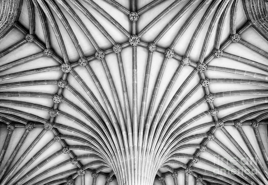 Wells Cathedral Chapter House Vaulted Ceiling Photograph by Tim Gainey