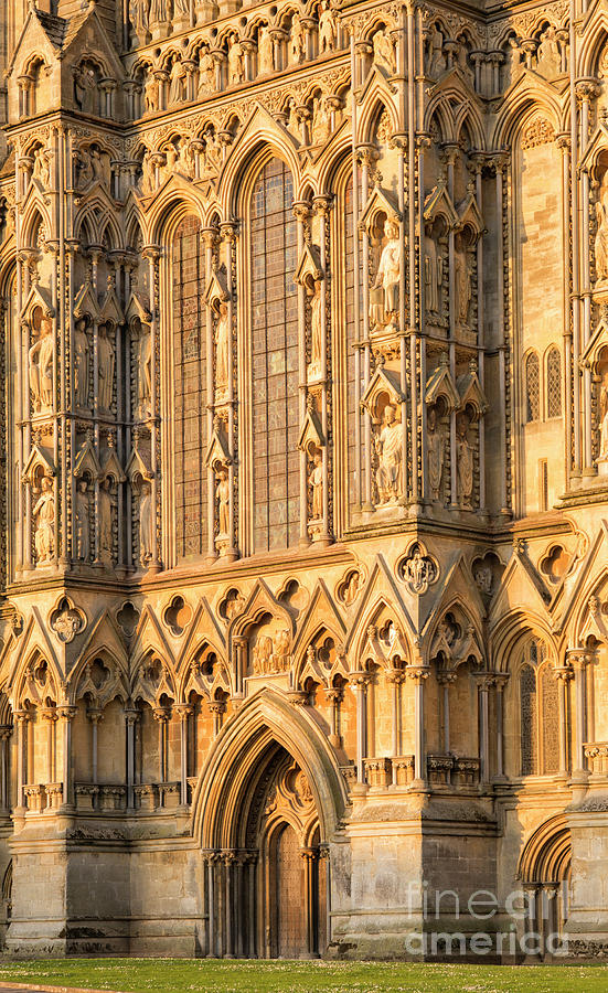Wells Cathedral Golden Glow Photograph by Tim Gainey