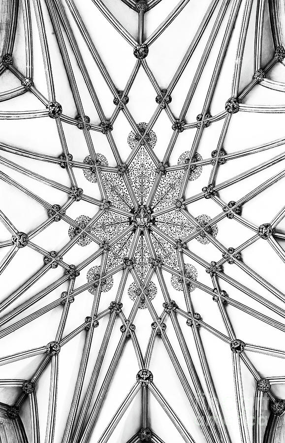 Wells Cathedral Lady Chapel Ceiling Photograph by Tim Gainey