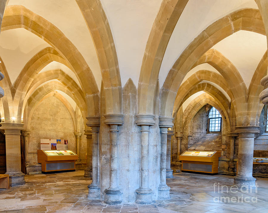 Wells Cathedral Undercroft Photograph by Colin Rayner