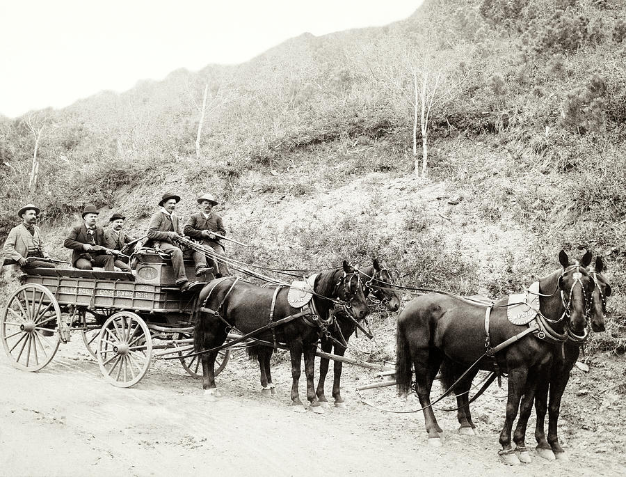 Wells Fargo Deadwood Treasure Wagon 1890 Photograph by Daniel Hagerman