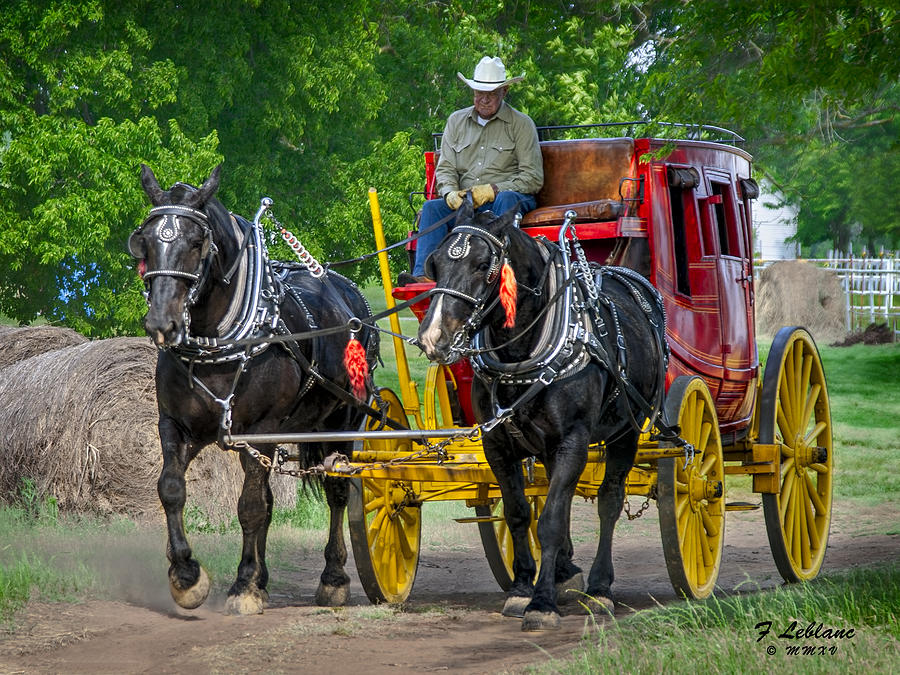 Wells Fargo Stage Coach 3 R3 Photograph by F Leblanc