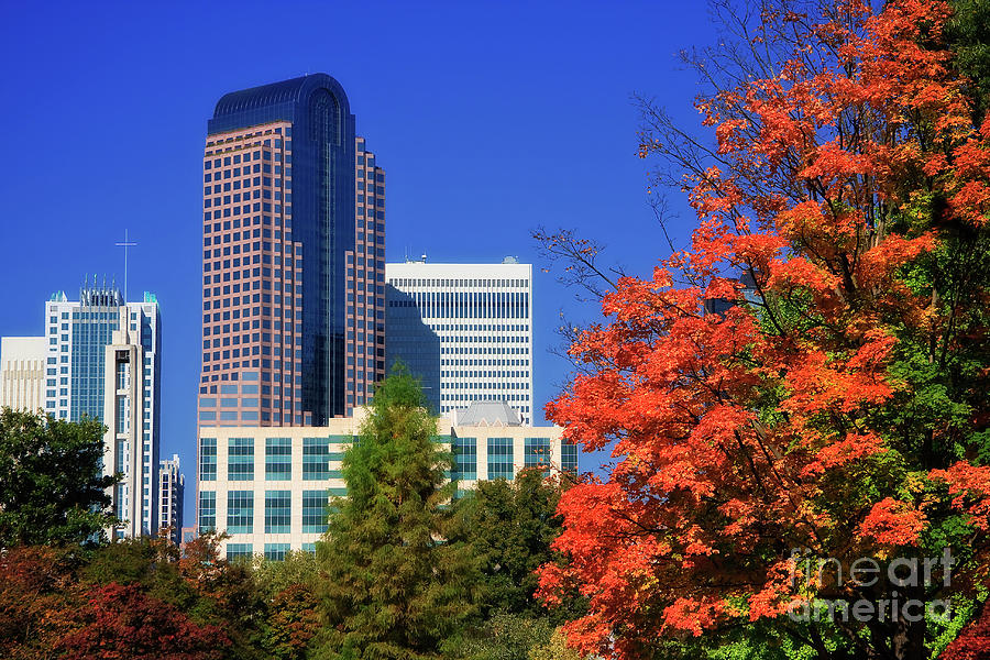 Wells Fargo Tower In Charlotte Photograph