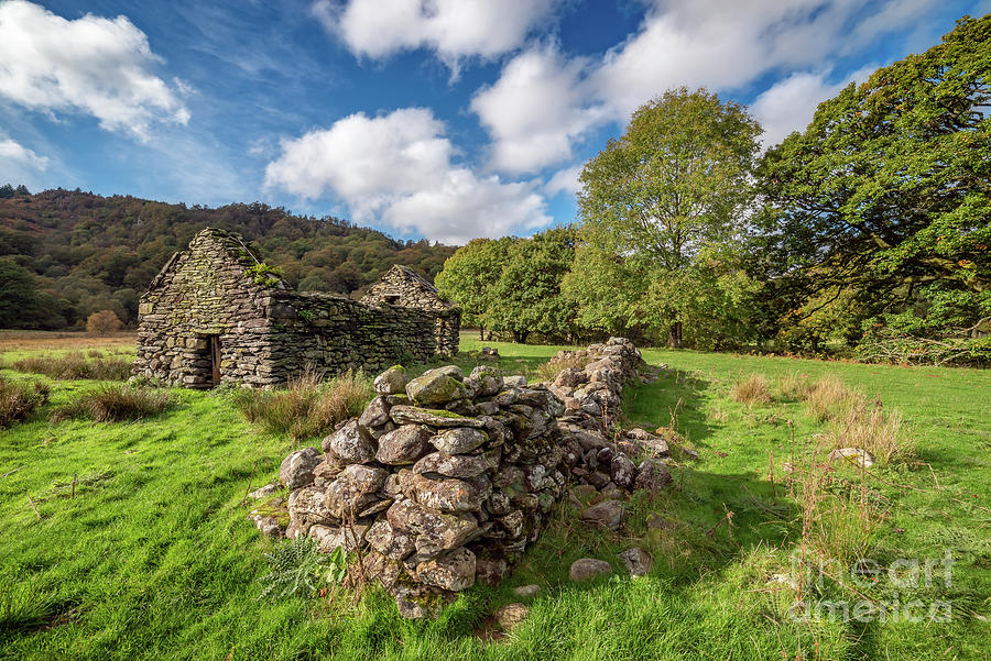 Welsh Cottage Ruin Photograph by Adrian Evans