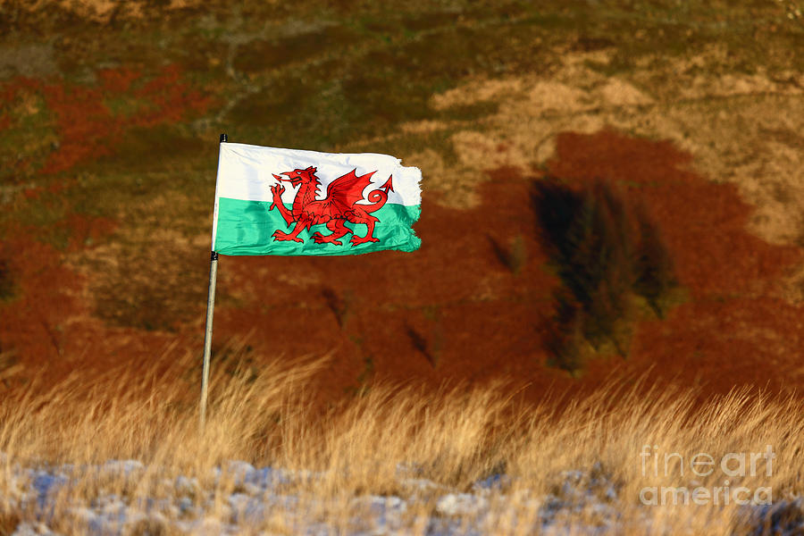 Welsh Flag and Mountain Colour Photograph by James Brunker