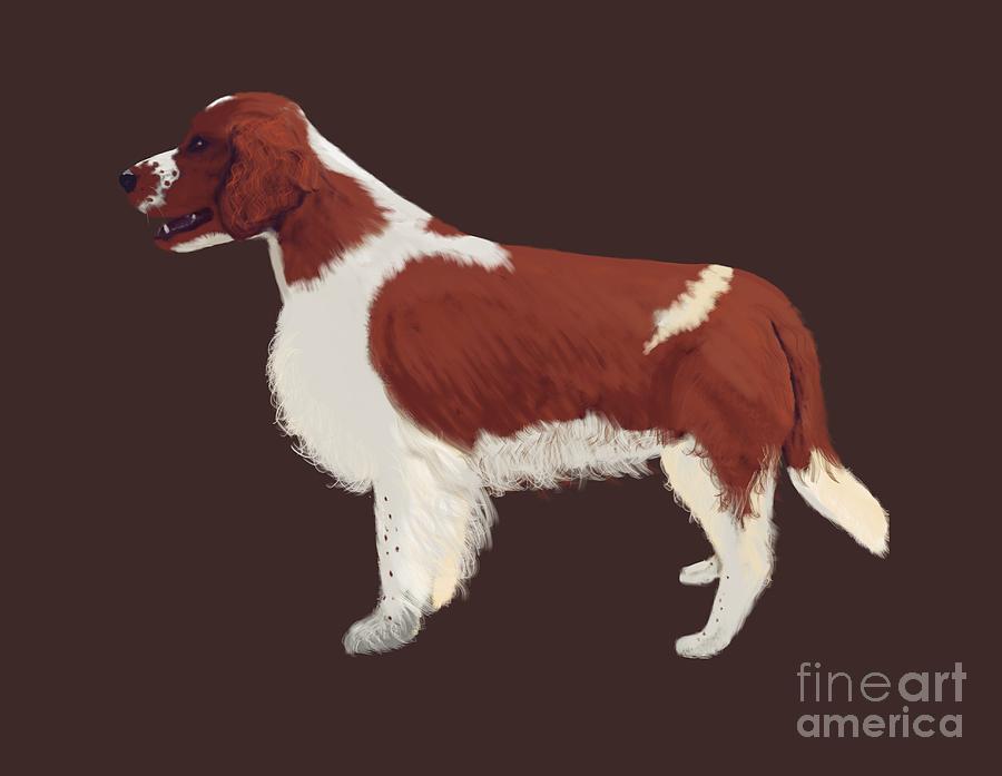 Dog Painting - Welshie Welsh Springer Spaniel Art  by Karen Harding