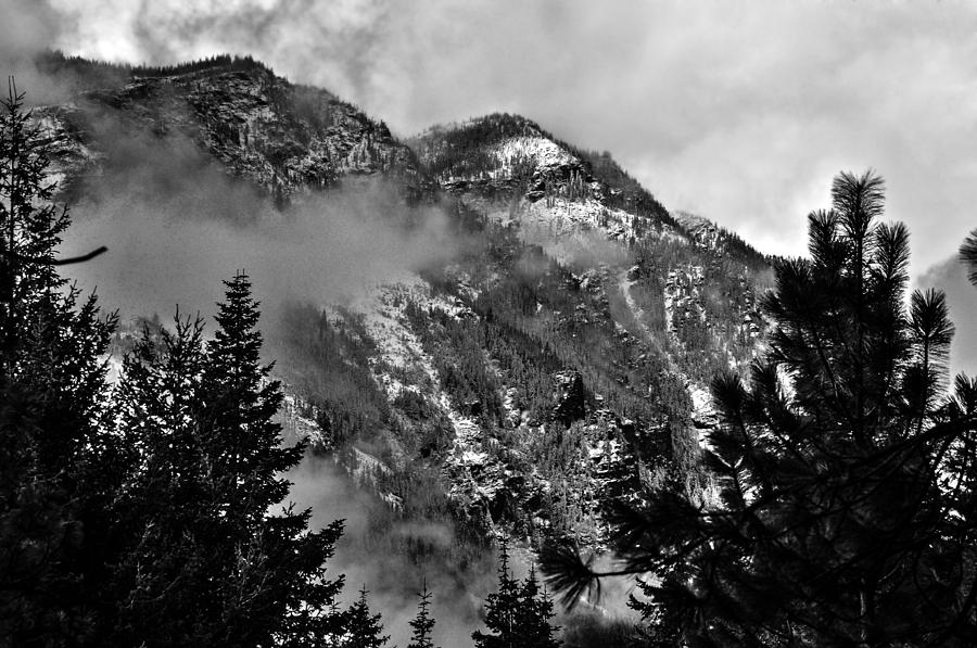 Wenatchee National Forest Black and White 2 Photograph by Pelo Blanco Photo