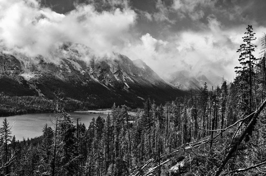 Wenatchee National Forest Black and White Photograph by Pelo Blanco Photo
