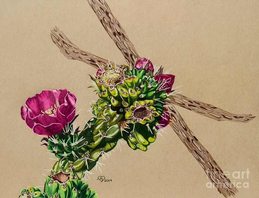 Wendy's Cholla by Becky Eileen Eller Wendy's Cholla by Becky Eileen Eller