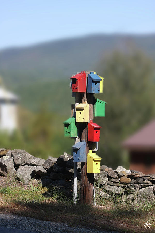 Bird Houses on a Pole Photograph by Wayne King