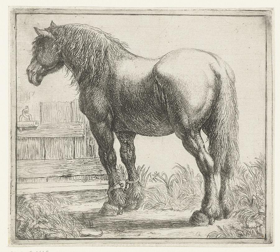 Werkpaard bij een hek, Simon de Vlieger, 1610 - 1653 Painting by Celestial Images