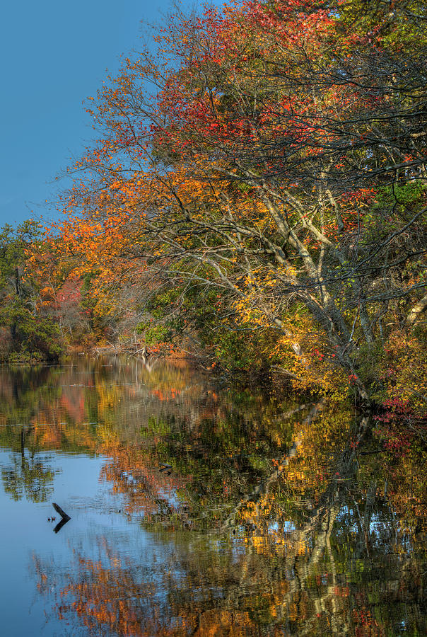 West Brook Pond in Fall Photograph by Steve Gravano