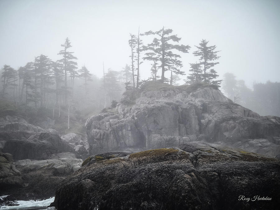 West Coast Landscape Ocean Fog III Photograph by Roxy Hurtubise