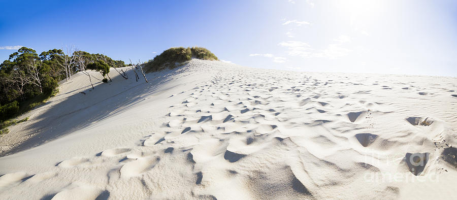 West Coast Tasmania desert panorama Photograph by Jorgo Photography