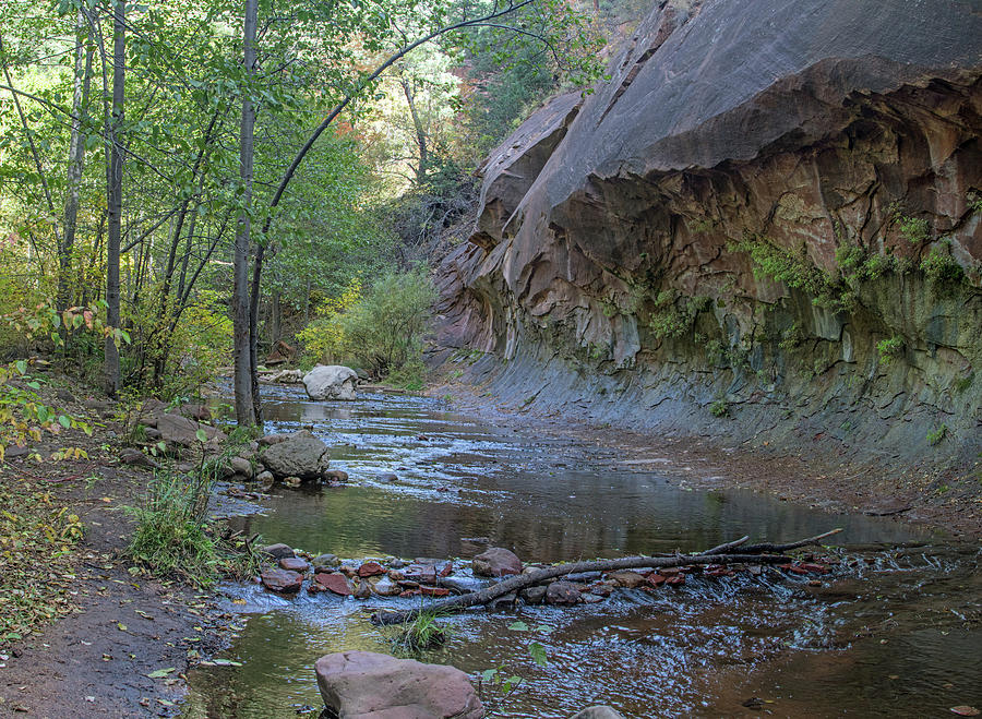 Fall Photograph - West Fork 8051-8054--101817-pano1 by Tam Ryan