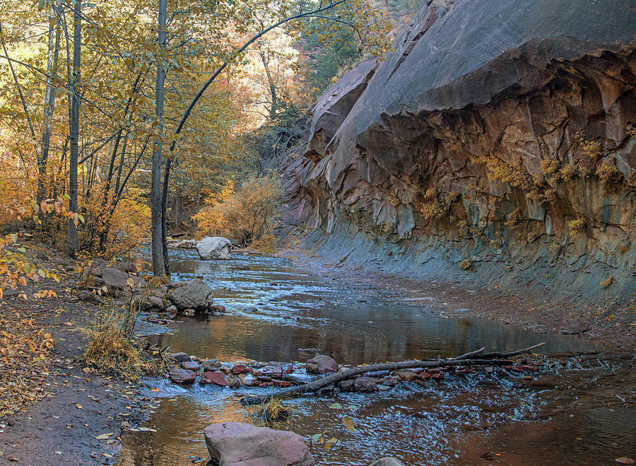Fall Photograph - West Fork 8051-8054--101817-pano2 by Tam Ryan