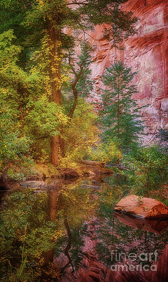 West Fork of Oak Creek Reflection Photograph by Priscilla Burgers
