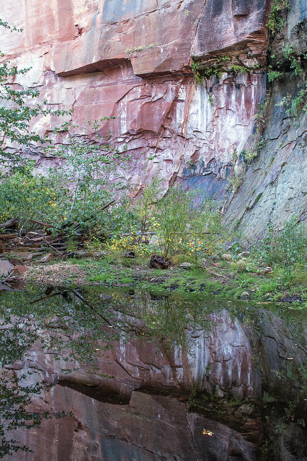 West Fork Reflection 7917-101817-1 Photograph by Tam Ryan