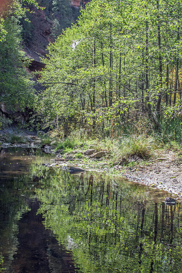 West Fork Reflection 8065-101817-1 Photograph by Tam Ryan