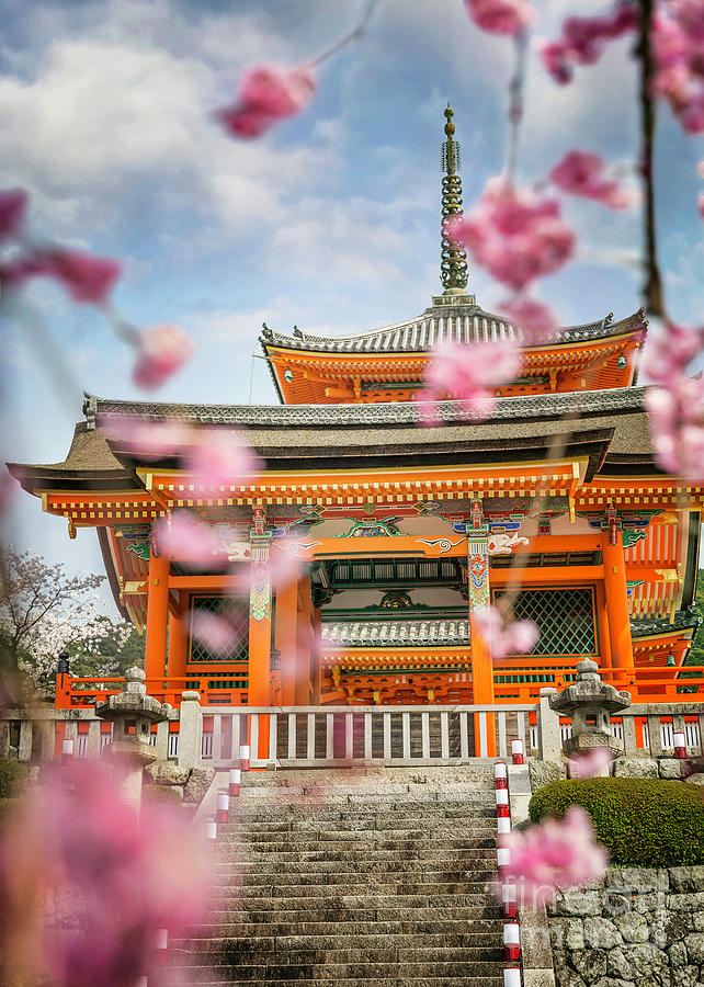 West Gate of Kiyomizudera Through Sakura Blossoms Photograph by Karen Jorstad