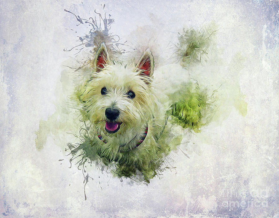 Dog Mixed Media - West Highland White Terrier by Ian Mitchell
