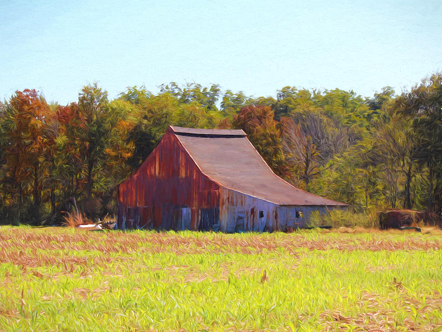 West Kentucky Barn Photograph by Lorraine Baum