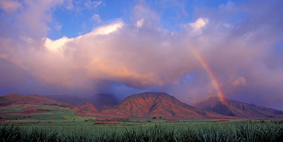 West Maui Rainbow Photograph by David Olsen