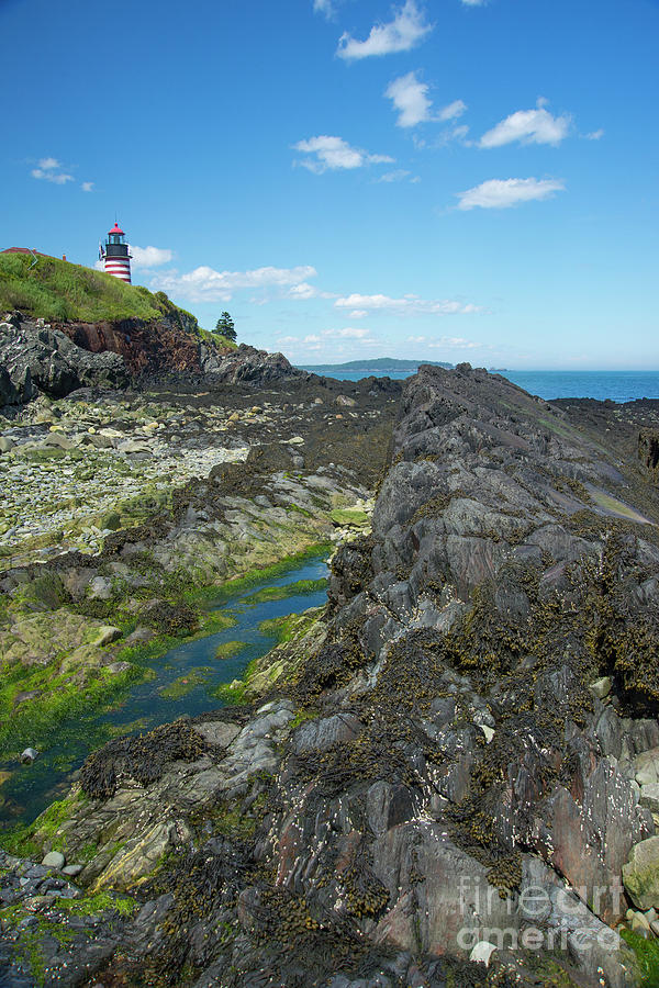 West Quoddy Head Light Photograph by Alana Ranney