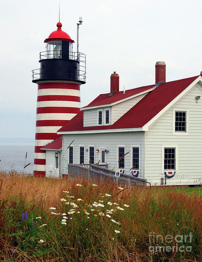 West Quoddy Head Light Photograph by Brenda Giasson