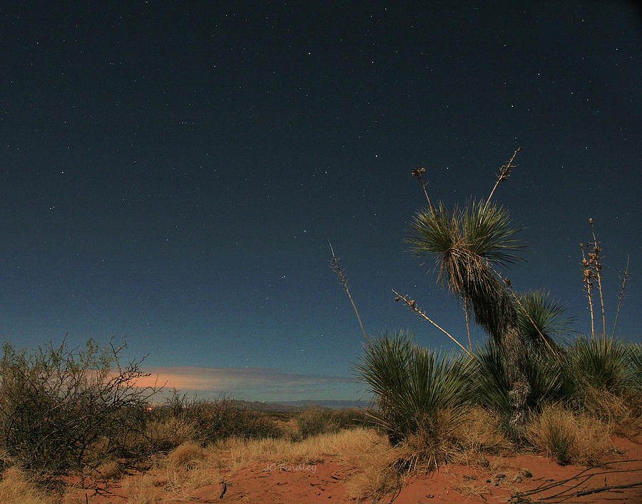 West Texas Nights Photograph by JC Findley