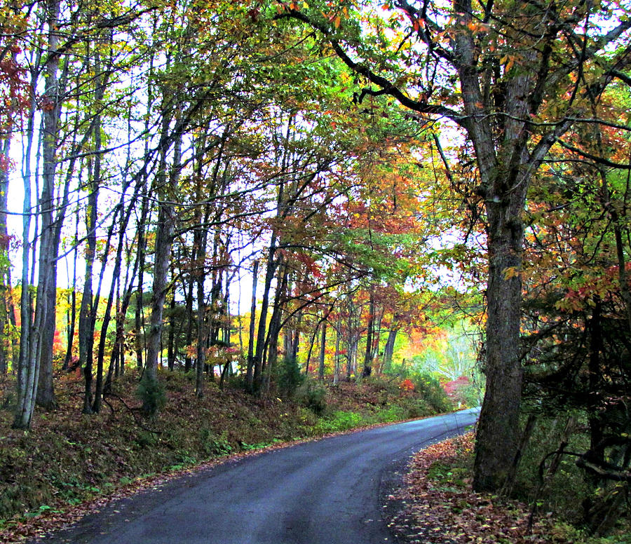 West Virginia Autumn Photograph by Beverly Canterbury