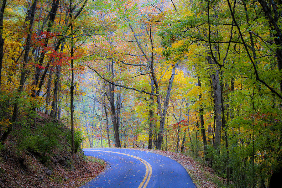 West Virginia Country Road Photograph by Teresa Mucha