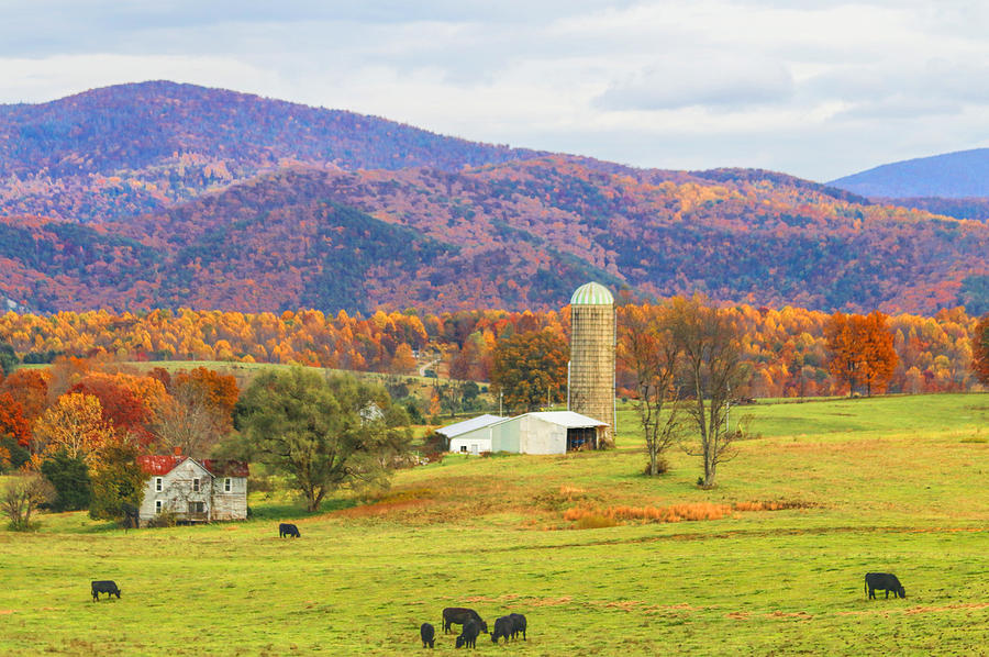 West Virginia Farm Photograph by Ola Allen